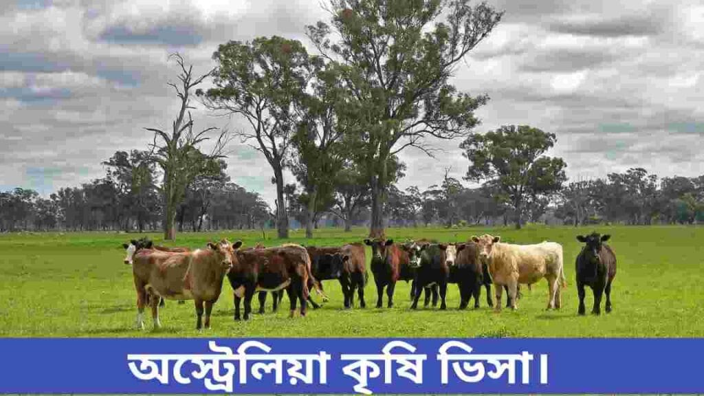 অস্ট্রেলিয়া কৃষি ভিসা