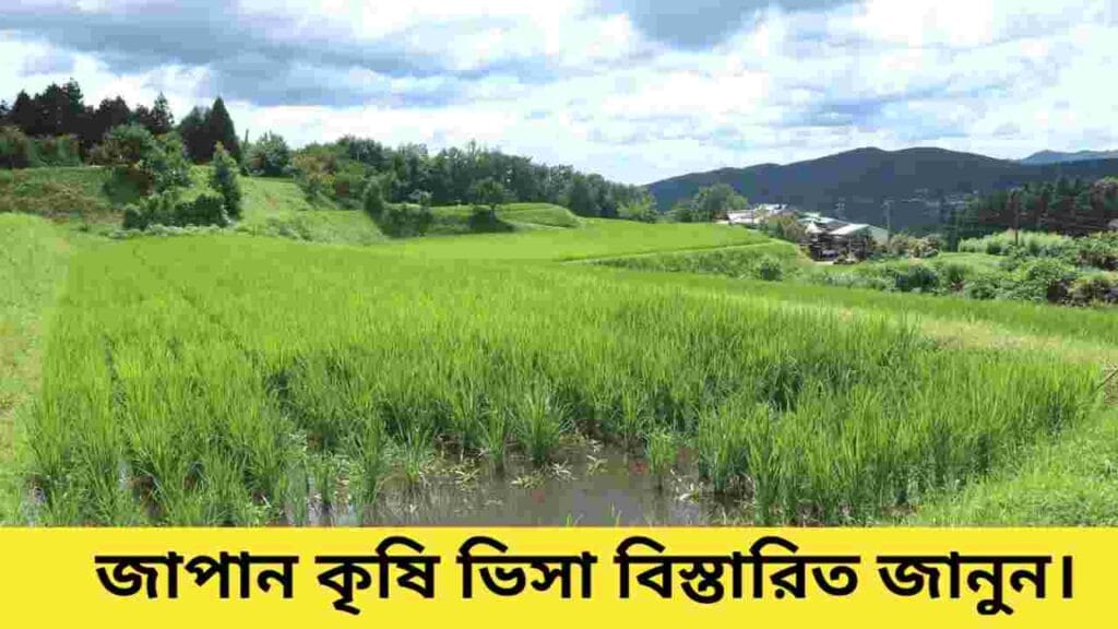 জাপান কৃষি ভিসা