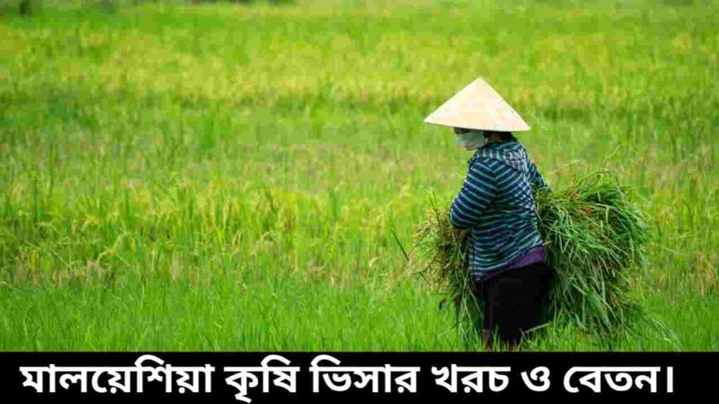 মালয়েশিয়া কৃষি ভিসা