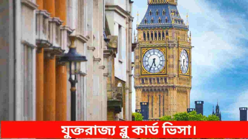 ব্লু কার্ড ভিসা