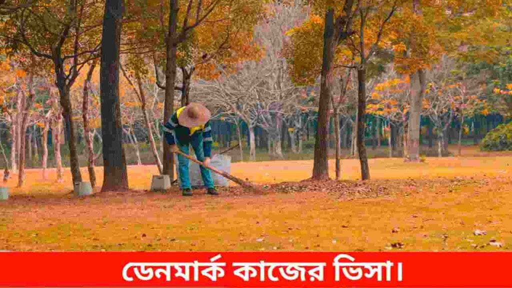 ডেনমার্ক কাজের ভিসা