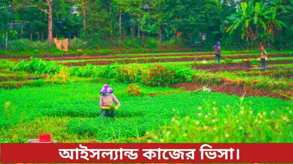 আইসল্যান্ডে কাজের ভিসা