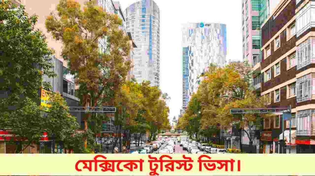 মেক্সিকো টুরিস্ট ভিসা