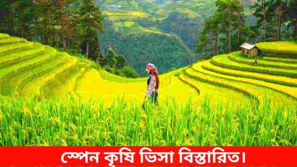 স্পেন কৃষি ভিসা