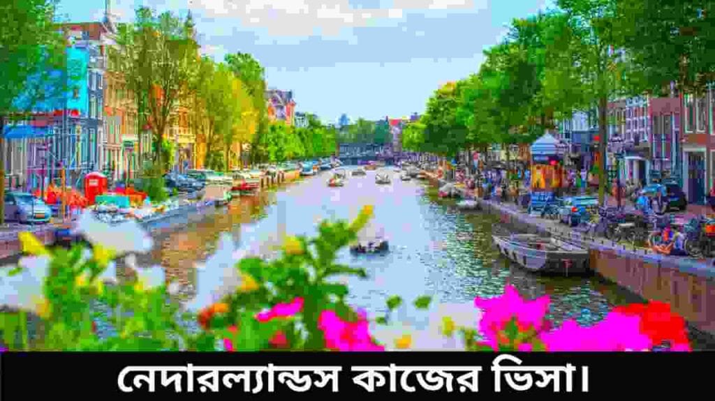 নেদারল্যান্ডস কাজের ভিসা