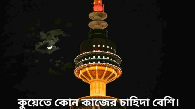 কুয়েত কোন কাজের চাহিদা বেশি