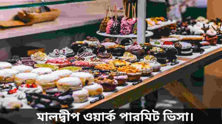 মালদ্বীপ ওয়ার্ক পারমিট ভিসা