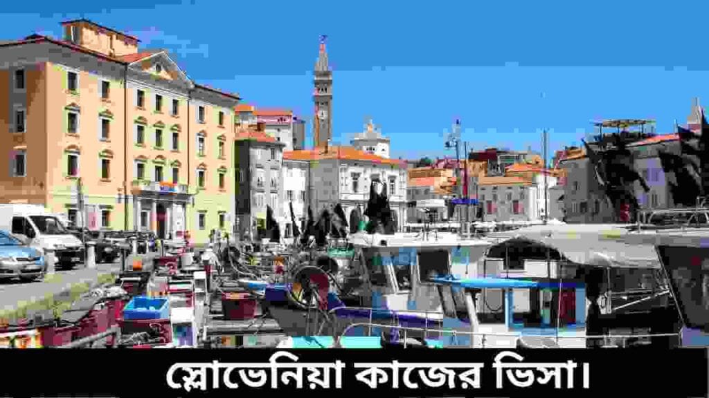 স্লোভেনিয়া কাজের ভিসা