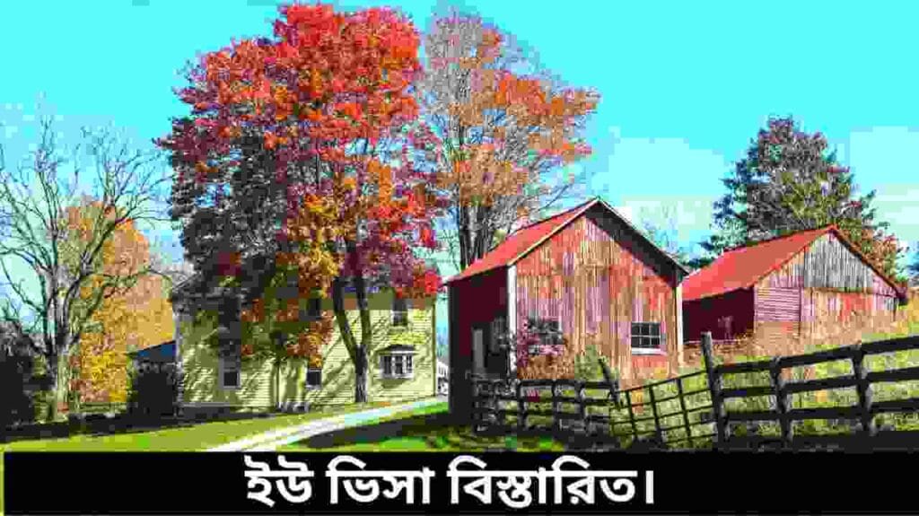 ইউ ভিসা