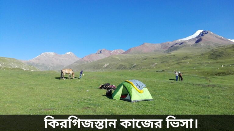 কিরগিজস্তান কাজের ভিসা