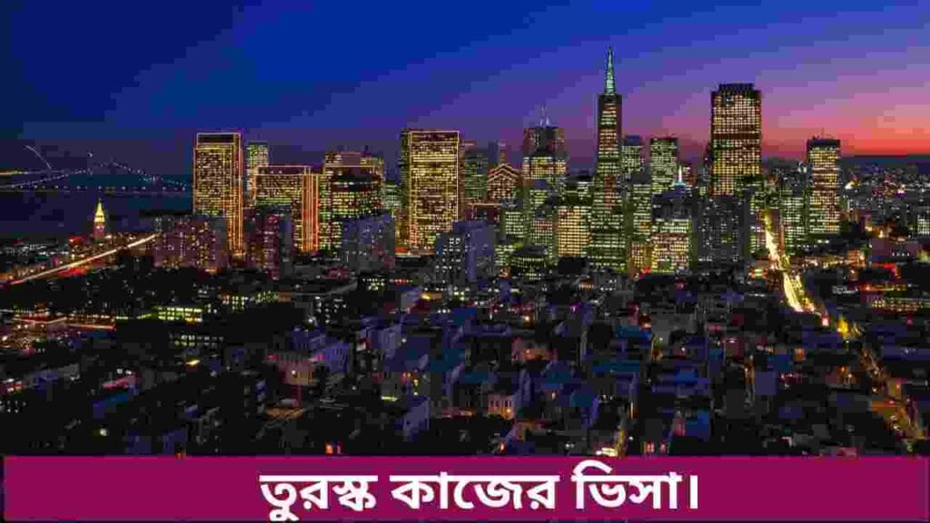 তুরস্ক কাজের ভিসা