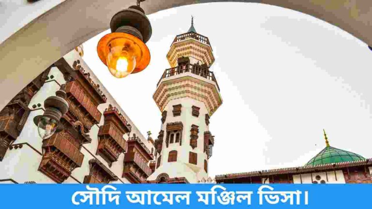 আমেল মঞ্জিল ভিসা