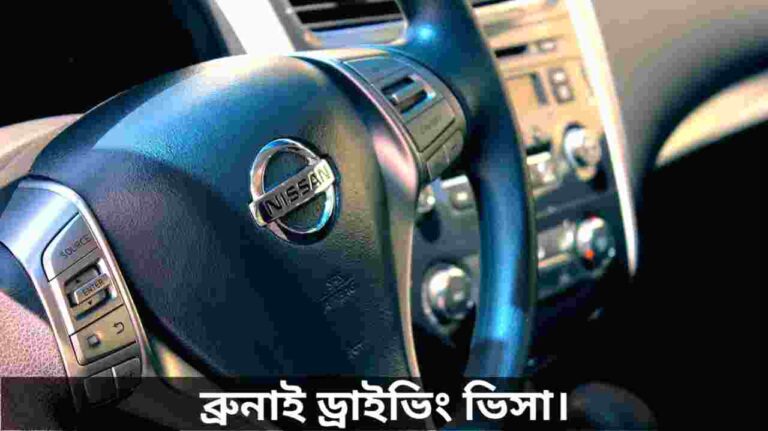 ব্রুনাই ড্রাইভিং ভিসা