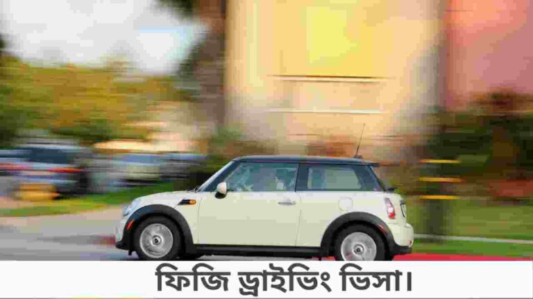 ফিজি ড্রাইভিং ভিসা