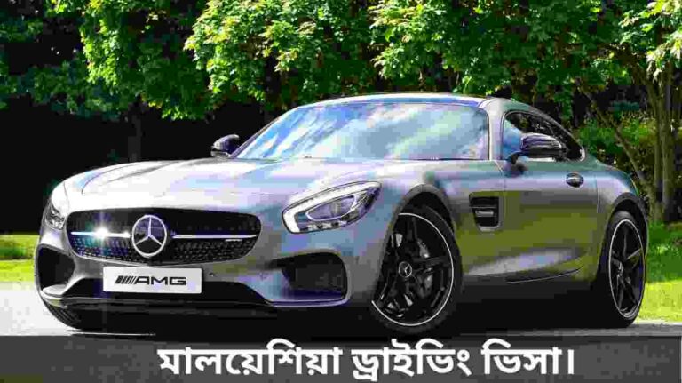 মালয়েশিয়া ড্রাইভিং ভিসা