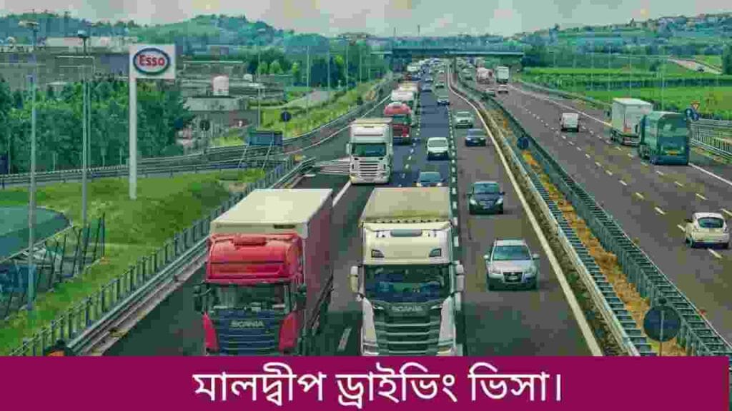 মালদ্বীপ ড্রাইভিং ভিসা