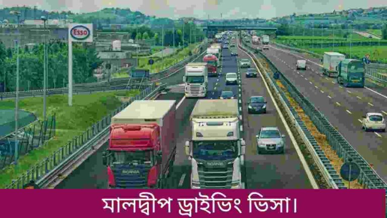 মালদ্বীপ ড্রাইভিং ভিসা