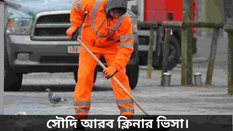 সৌদি আরব ক্লিনার ভিসা