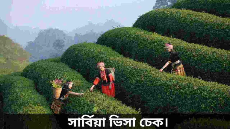 সার্বিয়া ভিসা চেক অনলাইন