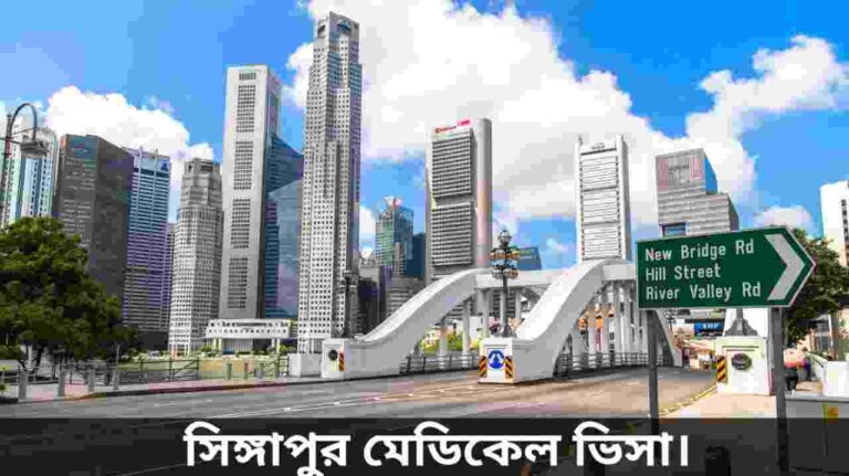 সিঙ্গাপুর মেডিকেল ভিসা