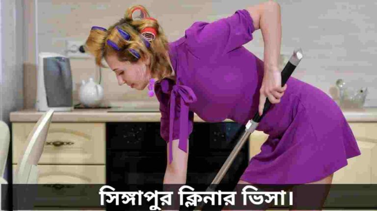 সিঙ্গাপুর ক্লিনার ভিসা