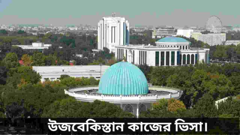 উজবেকিস্তান কাজের ভিসা