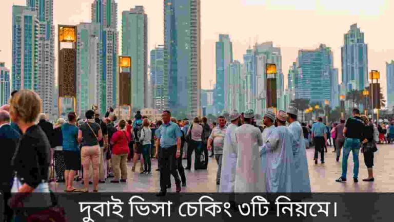 দুবাই ভিসা চেকিং
