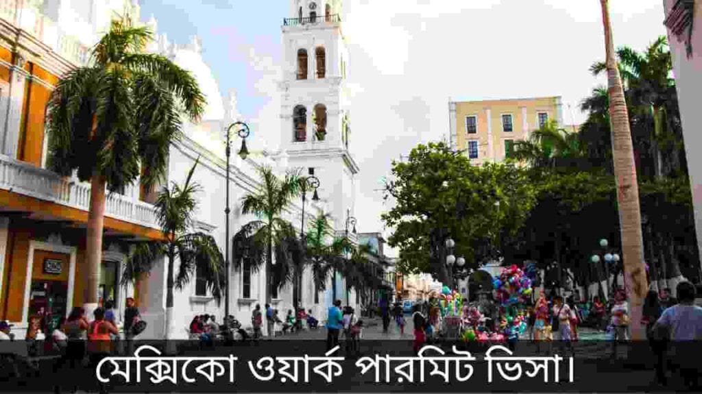 মেক্সিকো ওয়ার্ক পারমিট ভিসা